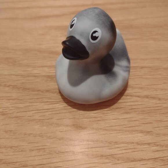 Rachel - Picture 1 of 1